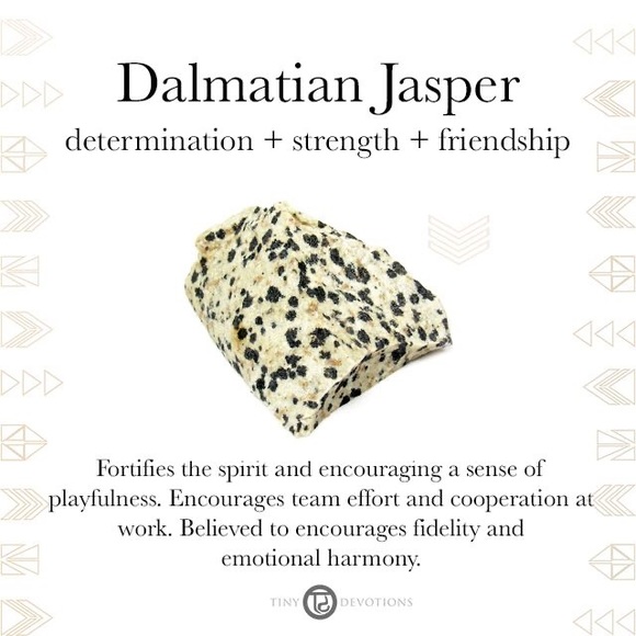 Dalmatian Jasper Studded Earrings - Picture 2 of 2